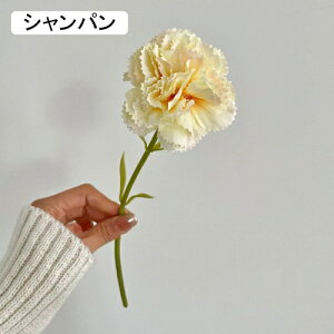   CeA  J[l[V 1{ ͂Ȃ Q   ItBX ̓  a j JXj  EFfBO p[eB[ v[g ʐ^ A