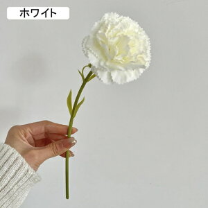   CeA  J[l[V 1{ ͂Ȃ Q   ItBX ̓  a j JXj  EFfBO p[eB[ v[g ʐ^ A