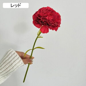   CeA  J[l[V 1{ ͂Ȃ Q   ItBX ̓  a j JXj  EFfBO p[eB[ v[g ʐ^ A