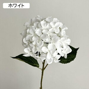   CeA  AWTC 1{ ͂Ȃ Q   ItBX ̓  a j JXj  EFfBO p[eB[ v[g ʐ^ A[gt