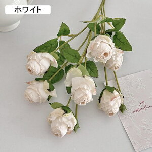   CeA  KN 1{ ͂Ȃ Q   ItBX ̓  a j JXj  EFfBO p[eB[ v[g ʐ^ A[gt