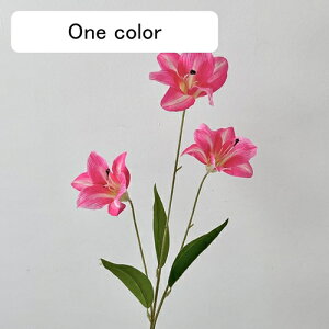   CeA  S 1{ ͂Ȃ Q   ItBX ̓  a j JXj  EFfBO p[eB[ v[g ʐ^ A[gt