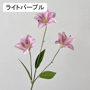   CeA  S 1{ ͂Ȃ Q   ItBX ̓  a j JXj  EFfBO p[eB[ v[g ʐ^ A[gt