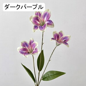   CeA  S 1{ ͂Ȃ Q   ItBX ̓  a j JXj  EFfBO p[eB[ v[g ʐ^ A[gt