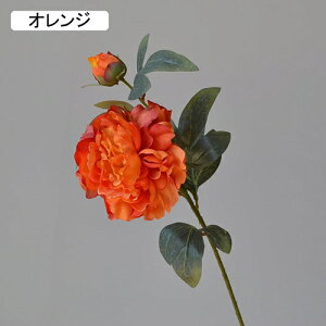   CeA  ڂ 1{ ͂Ȃ Q   ItBX ̓  a j JXj  EFfBO p[eB[ v[g ʐ^ A[gt