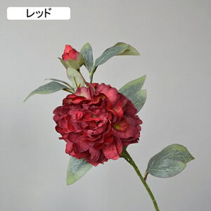   CeA  ڂ 1{ ͂Ȃ Q   ItBX ̓  a j JXj  EFfBO p[eB[ v[g ʐ^ A[gt