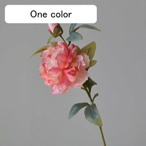   CeA  ڂ 1{ ͂Ȃ Q   ItBX ̓  a j JXj  EFfBO p[eB[ v[g ʐ^ A[gt