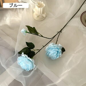   CeA  O 1{ ͂Ȃ Q   ItBX ̓  a j JXj  EFfBO p[eB[ v[g ʐ^ A[gt