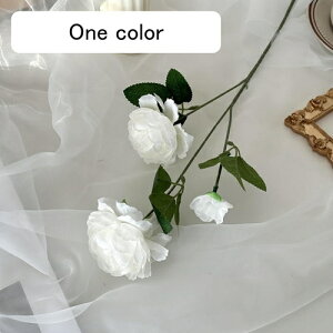   CeA  O 1{ ͂Ȃ Q   ItBX ̓  a j JXj  EFfBO p[eB[ v[g ʐ^ A[gt