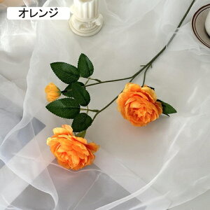   CeA  O 1{ ͂Ȃ Q   ItBX ̓  a j JXj  EFfBO p[eB[ v[g ʐ^ A[gt