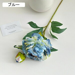   CeA  O 1{ ͂Ȃ Q   ItBX ̓  a j JXj  EFfBO p[eB[ v[g ʐ^ A[gt