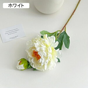   CeA  O 1{ ͂Ȃ Q   ItBX ̓  a j JXj  EFfBO p[eB[ v[g ʐ^ A[gt