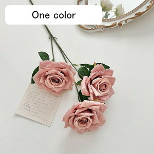   CeA  KN 1{ ͂Ȃ Q   ItBX ̓  a j JXj  EFfBO p[eB[ v[g ʐ^ A[gt