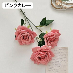   CeA  KN 1{ ͂Ȃ Q   ItBX ̓  a j JXj  EFfBO p[eB[ v[g ʐ^ A[gt