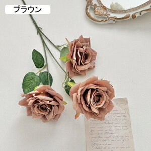   CeA  KN 1{ ͂Ȃ Q   ItBX ̓  a j JXj  EFfBO p[eB[ v[g ʐ^ A[gt