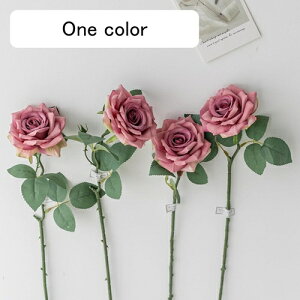   CeA  o 4{ ͂Ȃ Q   ItBX ̓  a j JXj  EFfBO p[eB[ v[g ʐ^ A[gt