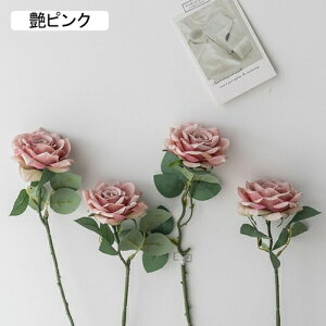   CeA  o 4{ ͂Ȃ Q   ItBX ̓  a j JXj  EFfBO p[eB[ v[g ʐ^ A[gt