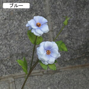   CeA  t 1{ ͂Ȃ Q   ItBX ̓  a j JXj  EFfBO p[eB[ v[g ʐ^ A[gt