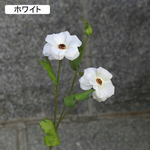   CeA  t 1{ ͂Ȃ Q   ItBX ̓  a j JXj  EFfBO p[eB[ v[g ʐ^ A[gt