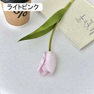   CeA  `[bv 1{ ͂Ȃ Q   ItBX ̓  a j JXj  EFfBO p[eB[ v[g ʐ^ A[