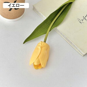   CeA  `[bv 1{ ͂Ȃ Q   ItBX ̓  a j JXj  EFfBO p[eB[ v[g ʐ^ A[