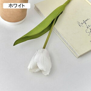   CeA  `[bv 1{ ͂Ȃ Q   ItBX ̓  a j JXj  EFfBO p[eB[ v[g ʐ^ A[