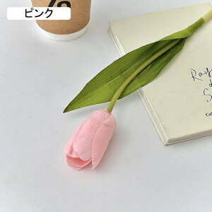   CeA  `[bv 1{ ͂Ȃ Q   ItBX ̓  a j JXj  EFfBO p[eB[ v[g ʐ^ A[