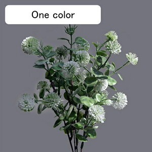  CeA tFCNt[ ^||̉ԑ ͂Ȃ Y tFCNt[ A[gt[ u[P LO  ސE v[g j rO  e[u   u