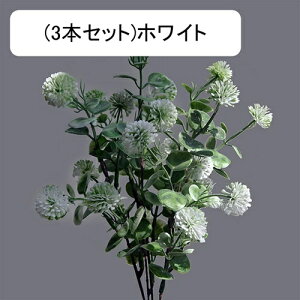  CeA tFCNt[ ^||̉ԑ ͂Ȃ Y tFCNt[ A[gt[ u[P LO  ސE v[g j rO  e[u   u