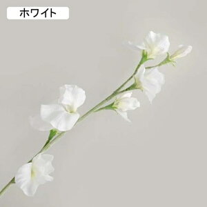 10{  XC[gs[ tFCNt[ A k  CeA A[eBtBVt[ ԑ }[^ { X^CbV 蕨 v[g ̓ Ȃ J