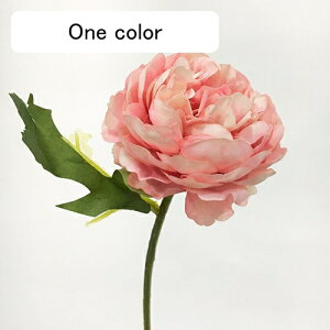   CeA  ڂ 1{ ͂Ȃ Q   ItBX ̓  a j JXj  EFfBO p[eB[ v[g ʐ^ A[gt