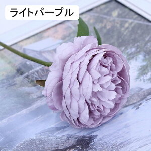   CeA  ڂ 1{ ͂Ȃ Q   ItBX ̓  a j JXj  EFfBO p[eB[ v[g ʐ^ A[gt