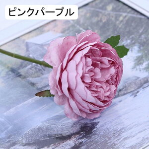   CeA  ڂ 1{ ͂Ȃ Q   ItBX ̓  a j JXj  EFfBO p[eB[ v[g ʐ^ A[gt