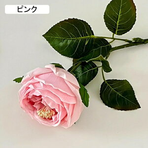   CeA  o 1{ ͂Ȃ Q   ItBX ̓  a j JXj  EFfBO p[eB[ v[g ʐ^ A[gt