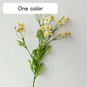   CeA  fCW[ 1{ ͂Ȃ Q   ItBX ̓  a j JXj  EFfBO p[eB[ v[g ʐ^ A[gt