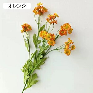   CeA  fCW[ 1{ ͂Ȃ Q   ItBX ̓  a j JXj  EFfBO p[eB[ v[g ʐ^ A[gt