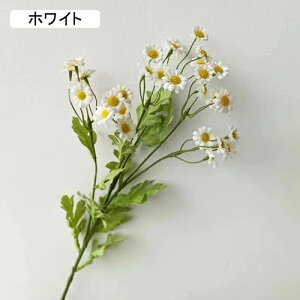   CeA  fCW[ 1{ ͂Ȃ Q   ItBX ̓  a j JXj  EFfBO p[eB[ v[g ʐ^ A[gt