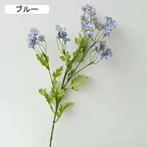   CeA  fCW[ 1{ ͂Ȃ Q   ItBX ̓  a j JXj  EFfBO p[eB[ v[g ʐ^ A[gt