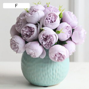  ~ A ԕrt  CeA   v[g Mtg ߓ  ʐ^Be ii w  i ] j Nj җj Vzj ʉ Mtg 