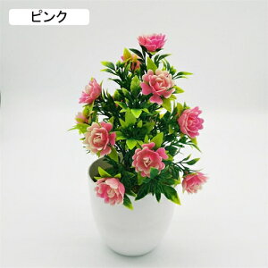 tFCNO[ lHϗtA  [YԔA  ~ CeA ItBX X  u { ͂Ȃ lH Vj ]j sN