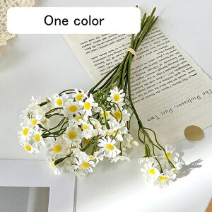   CeA  fCW[ 1 ͂Ȃ Q   ItBX ̓  a j JXj  EFfBO p[eB[ v[g ʐ^ A[gt