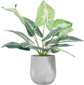 tFCNO[ ~j  A t ~ lHϗtA { c k CeA ItBX X  u ͂Ȃ b炸  JXj Vzj v[