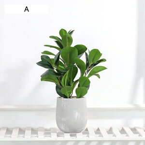 tFCNO[ ~j  A t ~ lHϗtA { c k CeA ItBX X  u ͂Ȃ b炸  JXj Vzj v[