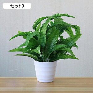 tFCNO[ lHϗtA A ~͐A  ~j CeA p  bv炸 Vzj Vj z Mtg 蕨 ItBX z[   e[u 