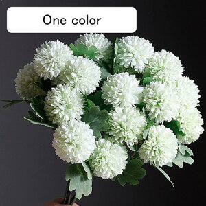  CeA s|e 10{ ΐF ͂Ȃ A[gt[ ̓v[g Mtg 킢 j   X iX  p[eB[ a ԑ 蕨̉ lHϗtA