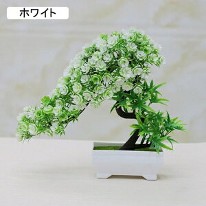 lHϗtA A ~   CeA tFCNO[  vX`bN tFCNt[ p  Vzj Mtg Ղ 蕨 ItBX z[  e[u