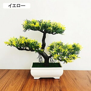 tFCNO[ ϗtA A lHϗtA { 19.5m*25cm ~ CeA  ItBX X 쑕  u ͂Ȃ b炸  z V