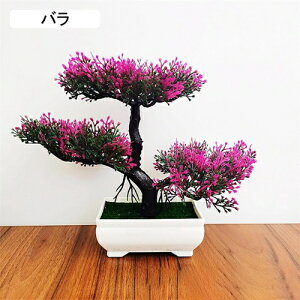 tFCNO[ ϗtA A lHϗtA { 19.5m*25cm ~ CeA  ItBX X 쑕  u ͂Ȃ b炸  z V