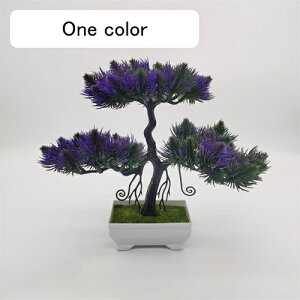 lHϗtA    ϗtA { ͂Ȃ b炸 24cm*29cm tFCNO[ ~ A CeA rO ItBX X 쑕 u ] Vz