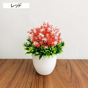 ϗtA  t  lH A  ~ CeA ItBX X  u ԃZbg { ͂Ȃ bsv rO///ʑ/Qp tFCNO[